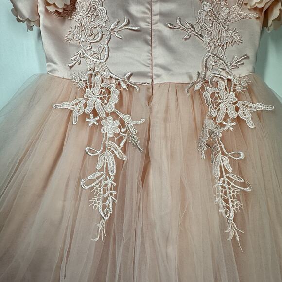 Trish Scully Size 7 Bianca Gown Satin Dress Tulle Lace 3D Floral Peachy Pink - Picture 7 of 11